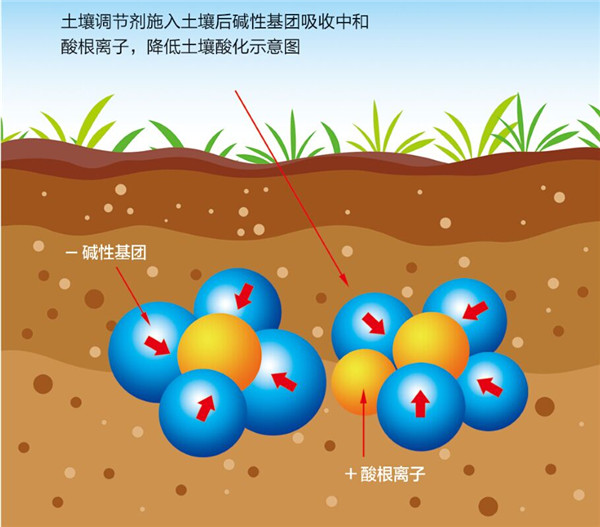 土壤是農業的基礎，保護土壤，從現在開始