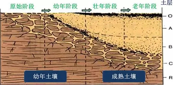 土壤養(yǎng)分檢測儀工作原理、技術(shù)和方法